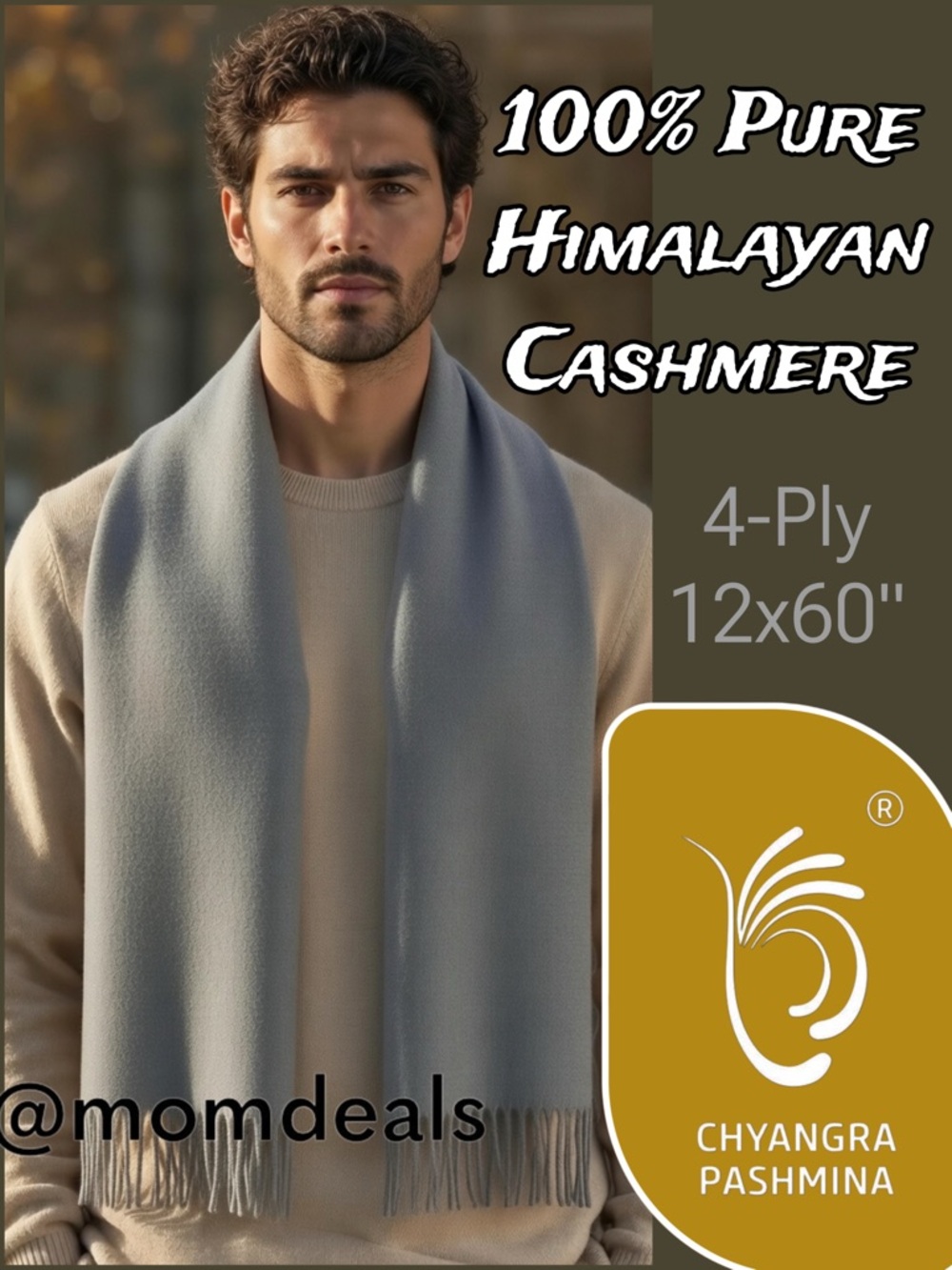 100% Pure 4-Ply Chyangra Pashmina Cashmere Scarf Handmade Nepal COA NWT - GREY
